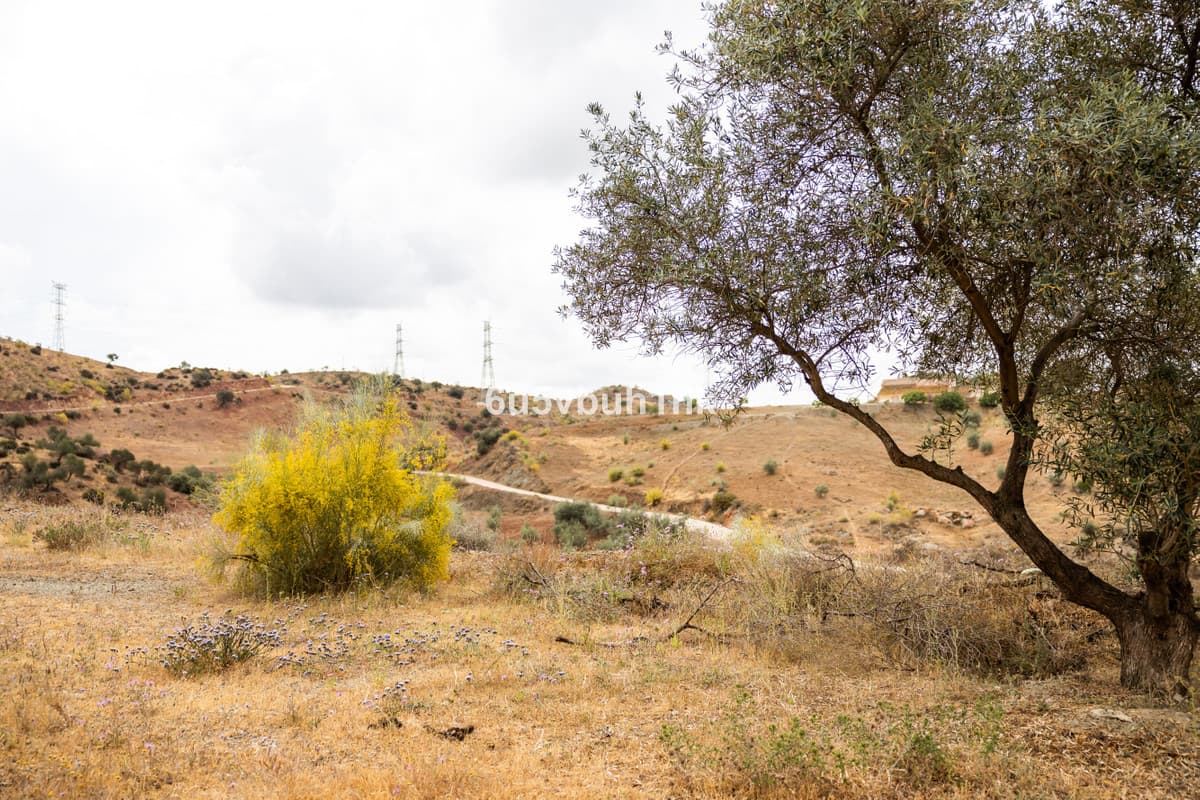 Land in Estacion de Cartama — photo 3 of 10