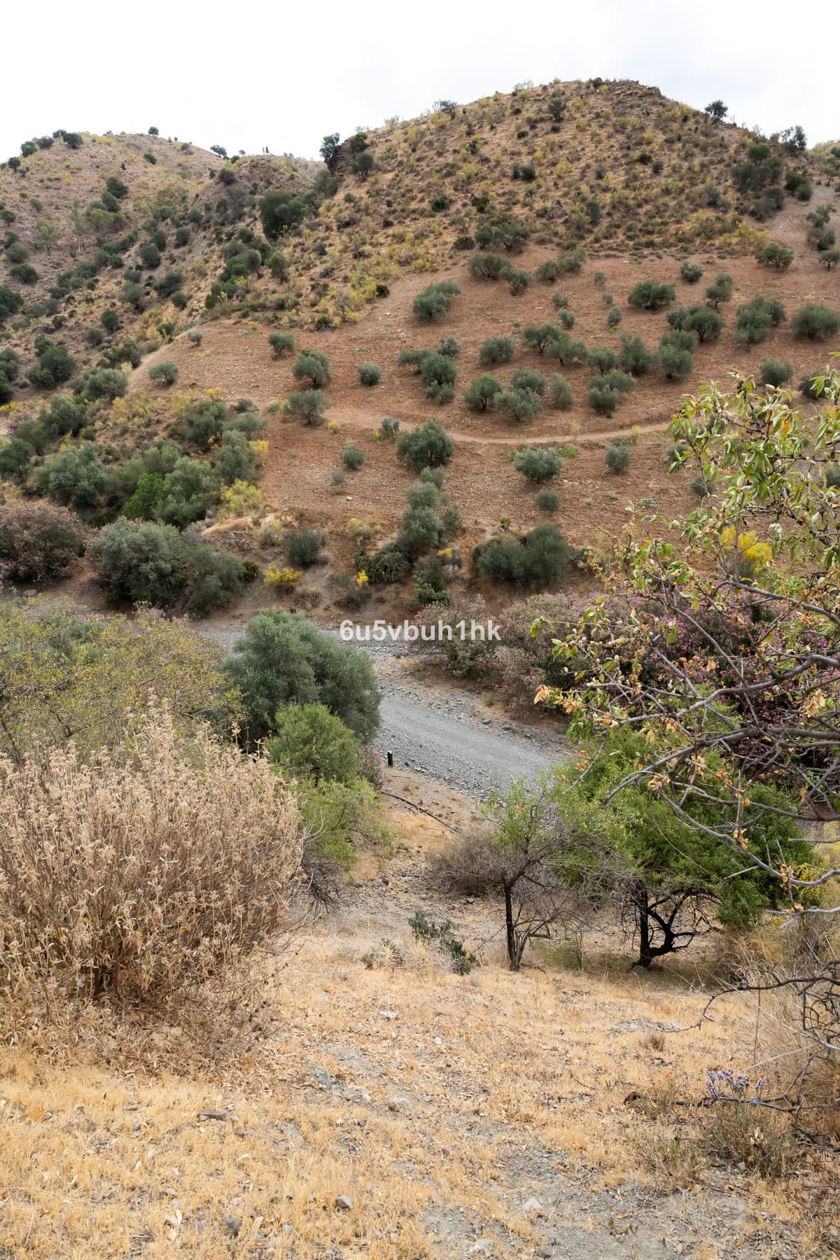 Land in Estacion de Cartama — photo 4 of 10
