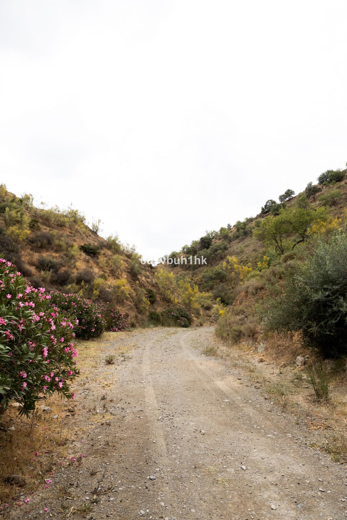 Land in Estacion de Cartama — photo 8 of 10