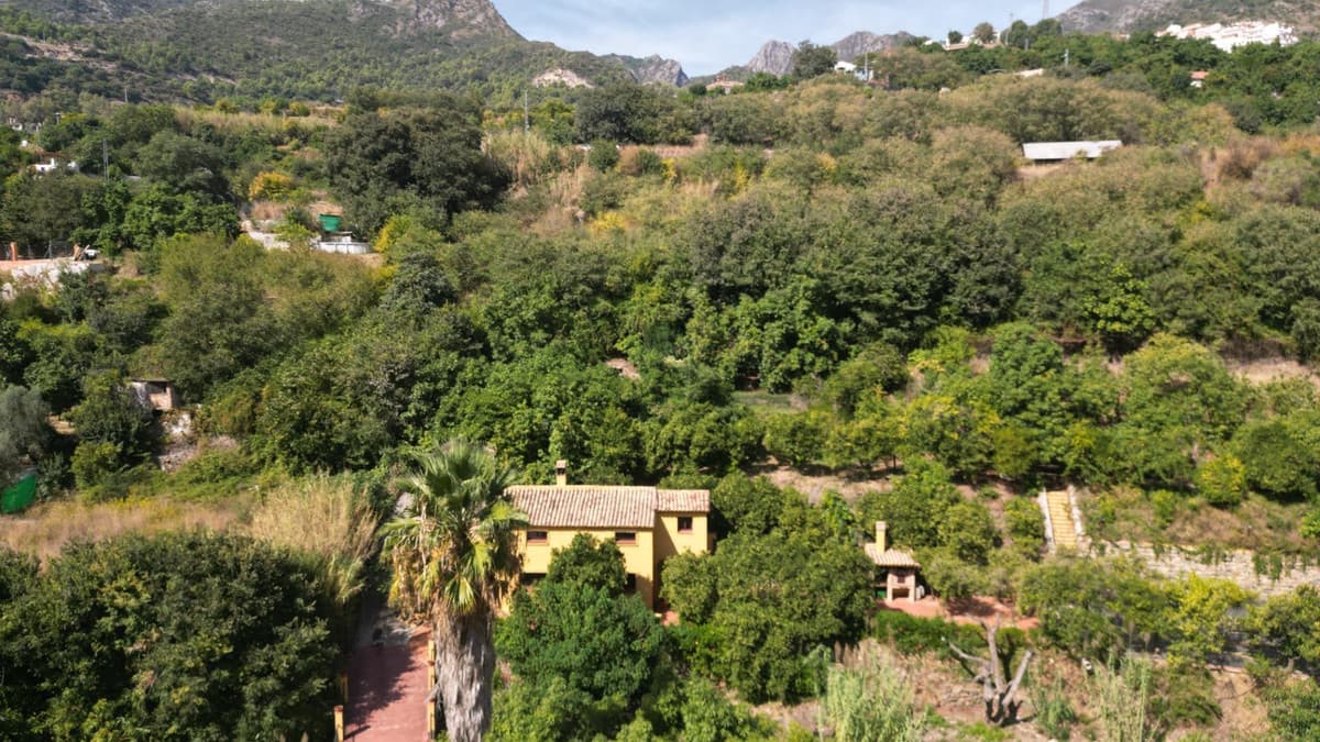 Cortijo in Ojén — photo 5 of 10