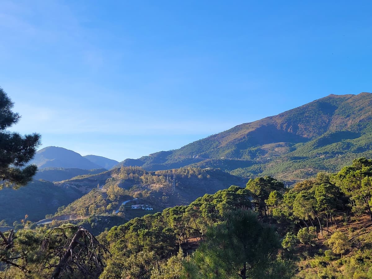 Land in La Zagaleta — photo 1 of 10
