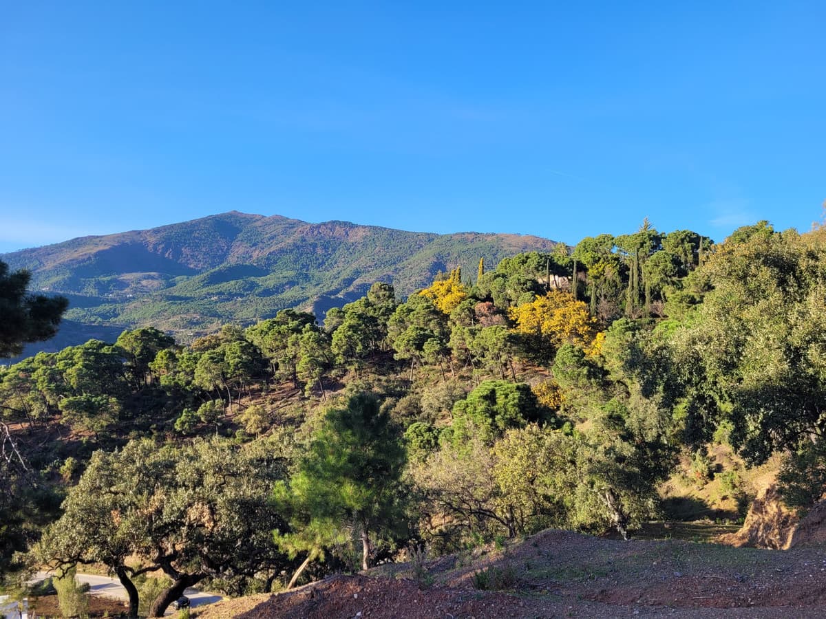 Land in La Zagaleta — photo 3 of 10
