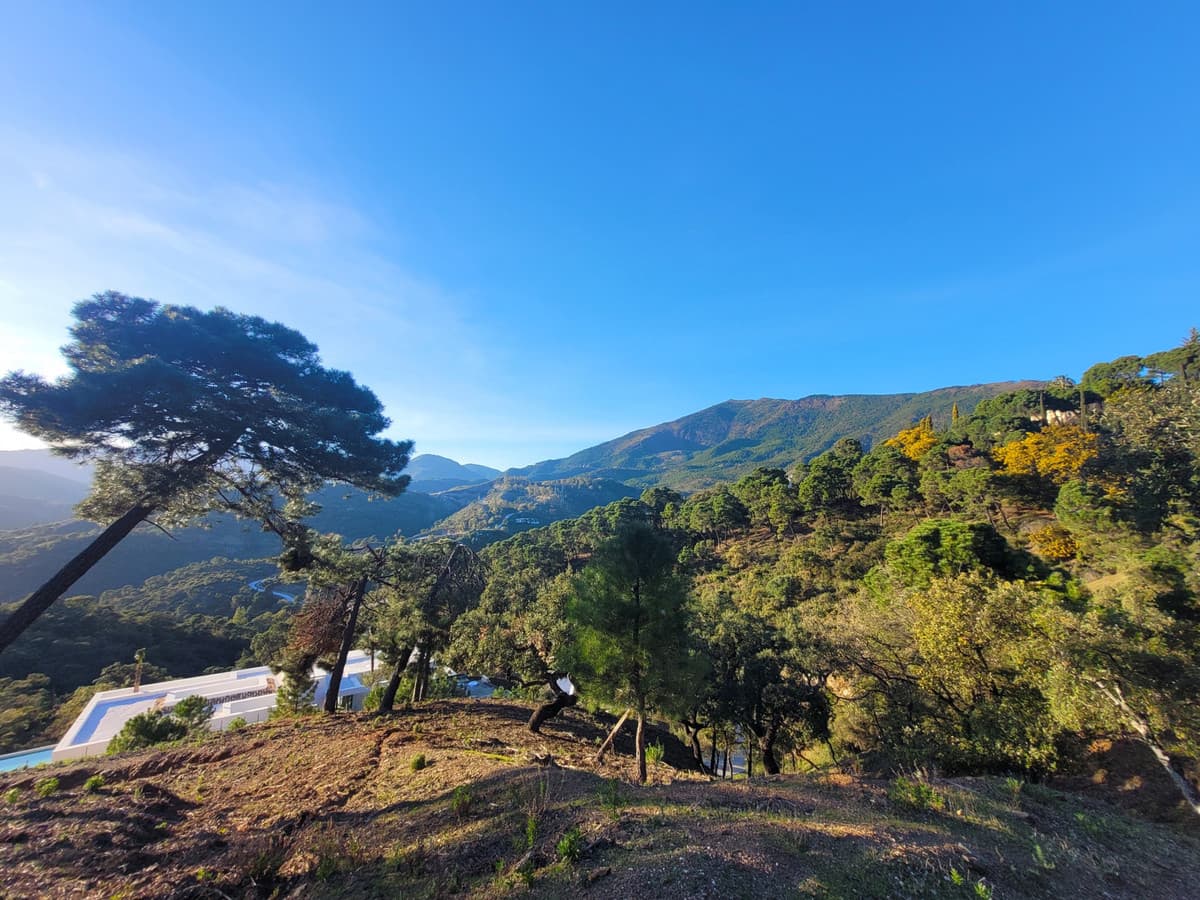 Land in La Zagaleta — photo 5 of 10