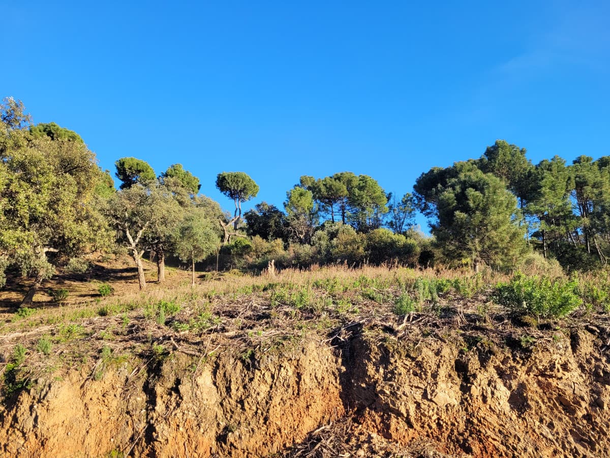 Land in La Zagaleta — photo 6 of 10