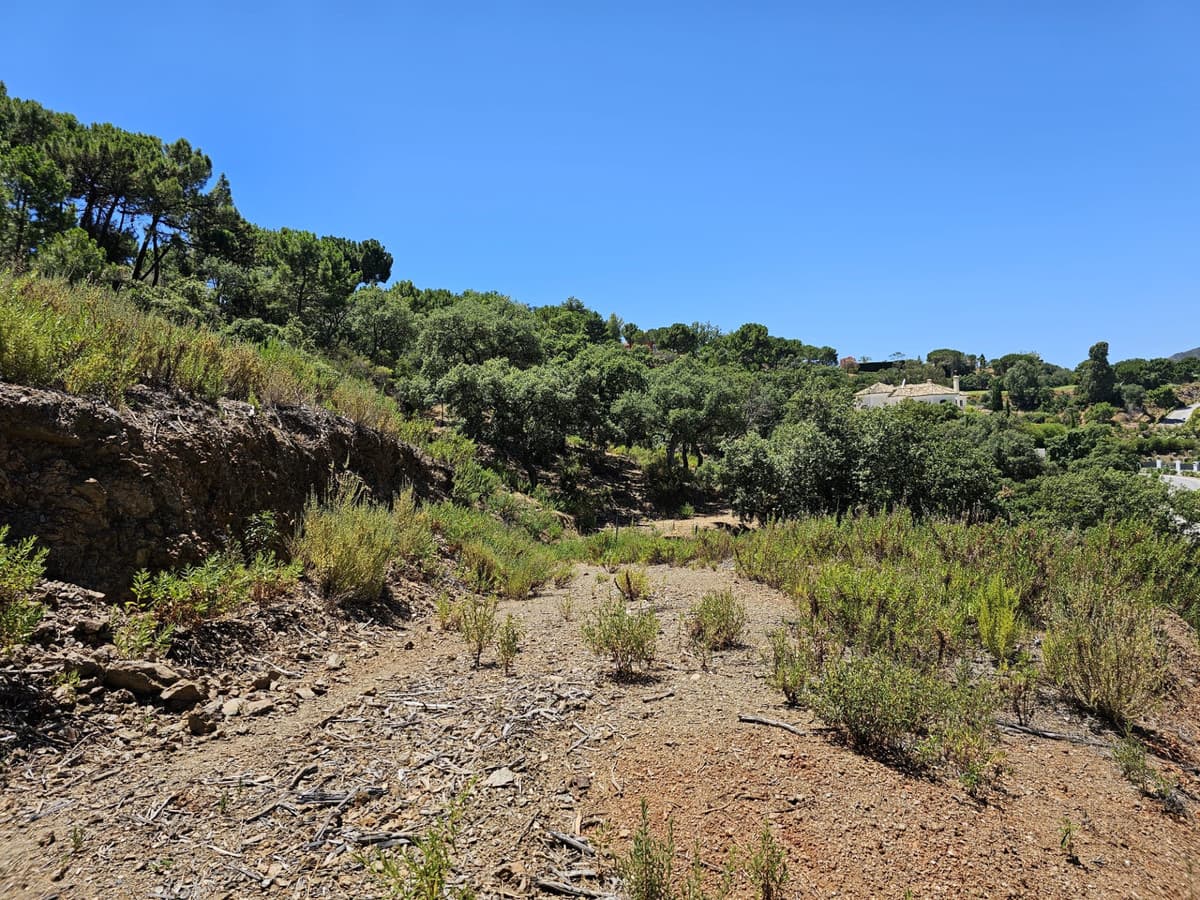 Land in La Zagaleta — photo 7 of 10