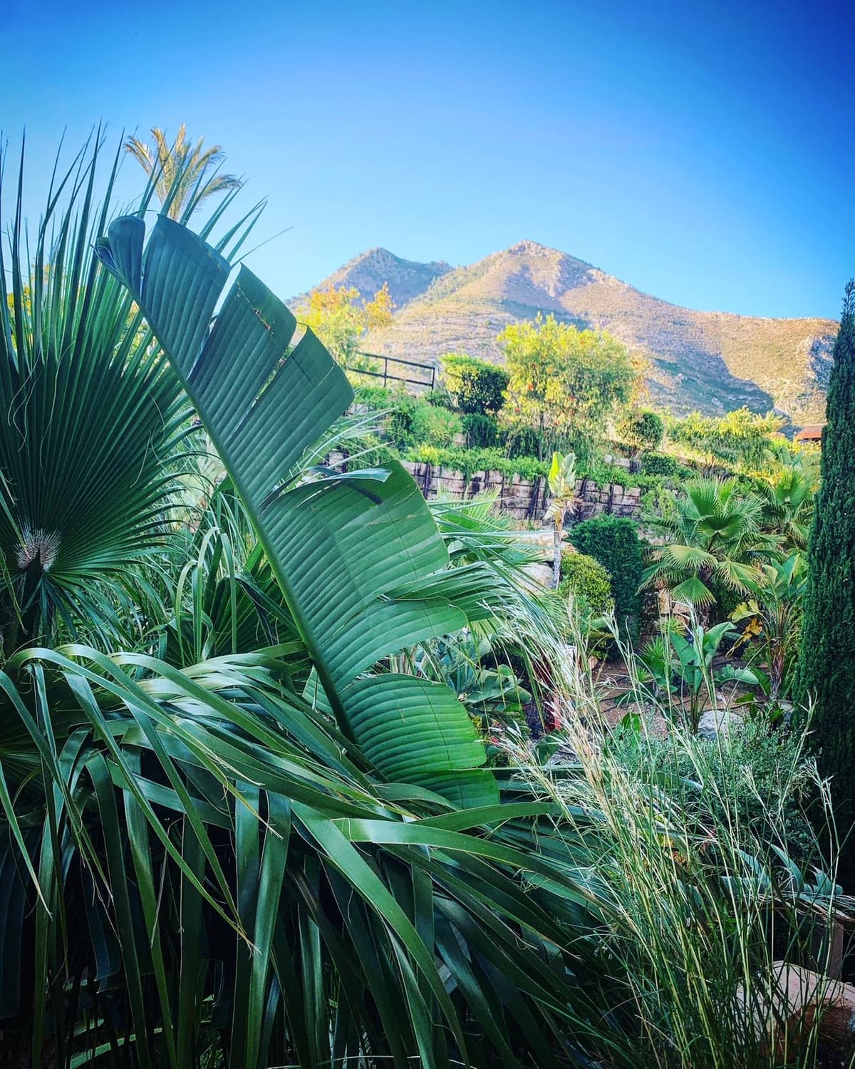 Residential Plot in Benalmadena — photo 2 of 6