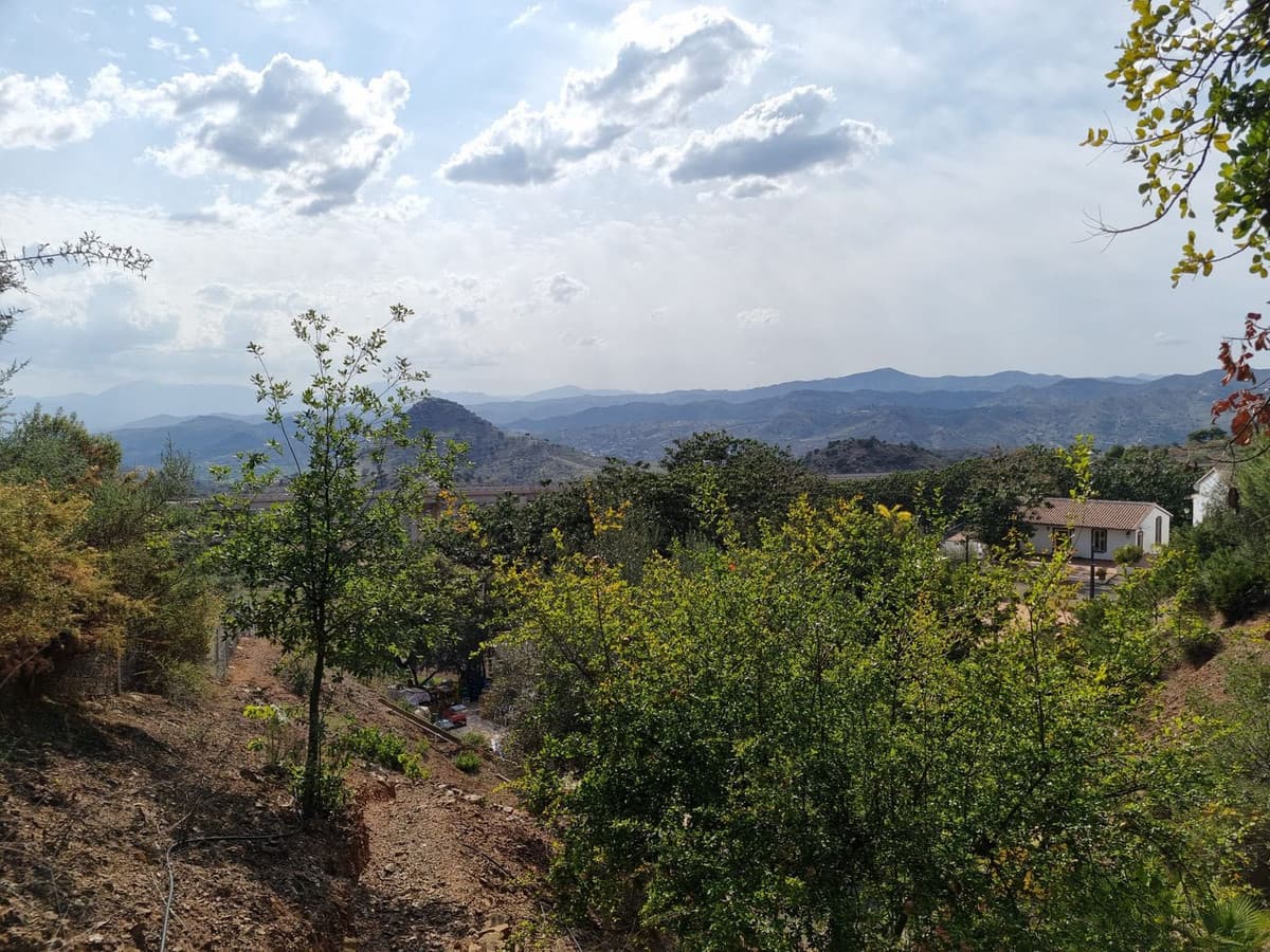 Cortijo in Málaga — photo 10 of 10