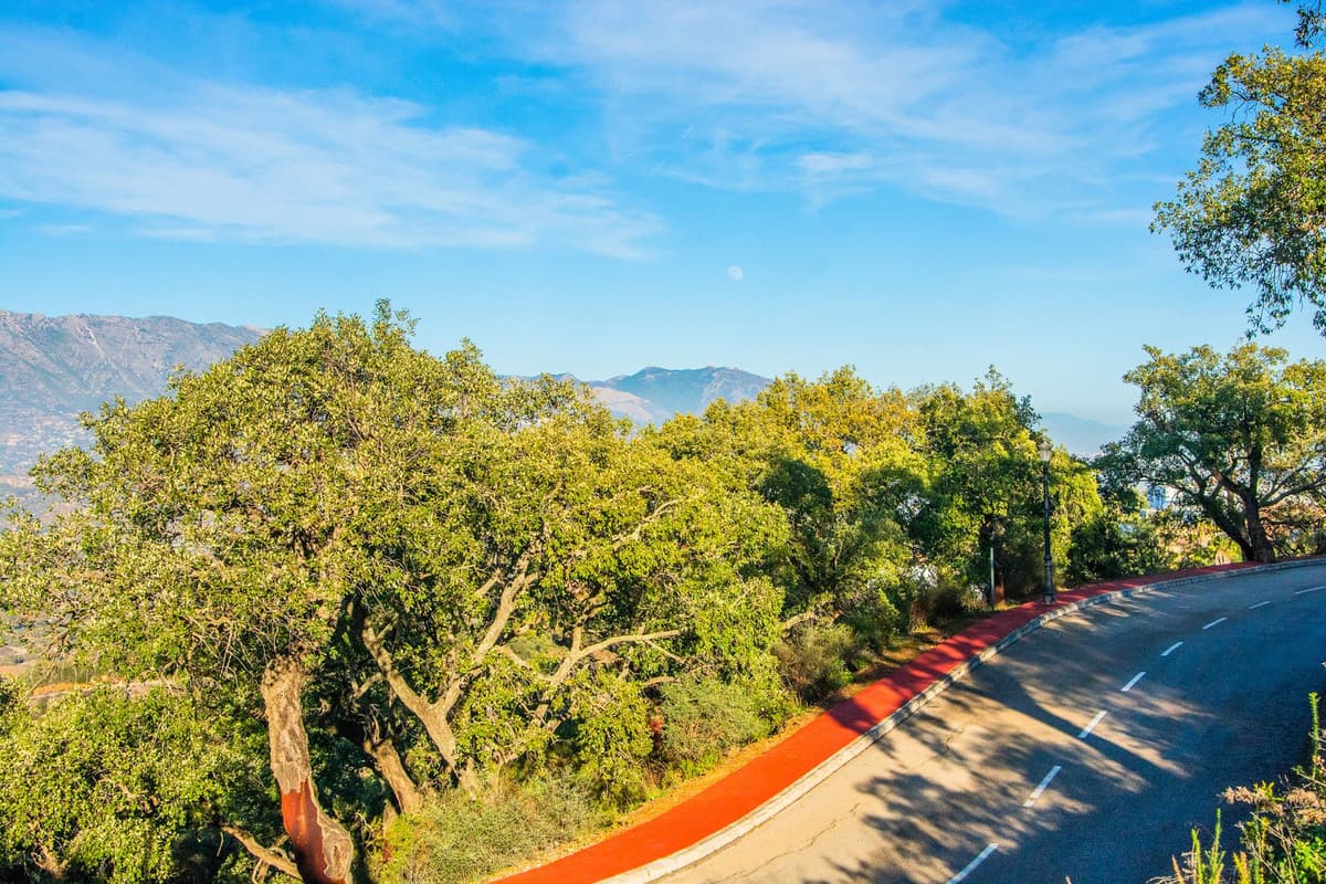 Residential Plot in La Mairena — photo 3 of 9