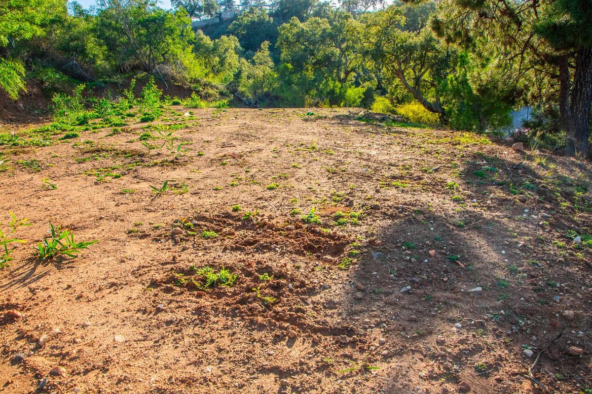 Residential Plot in La Mairena — photo 7 of 9