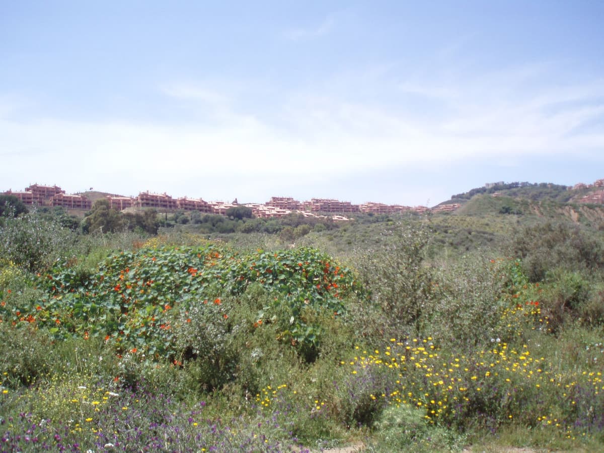 Land in Mijas — photo 3 of 10