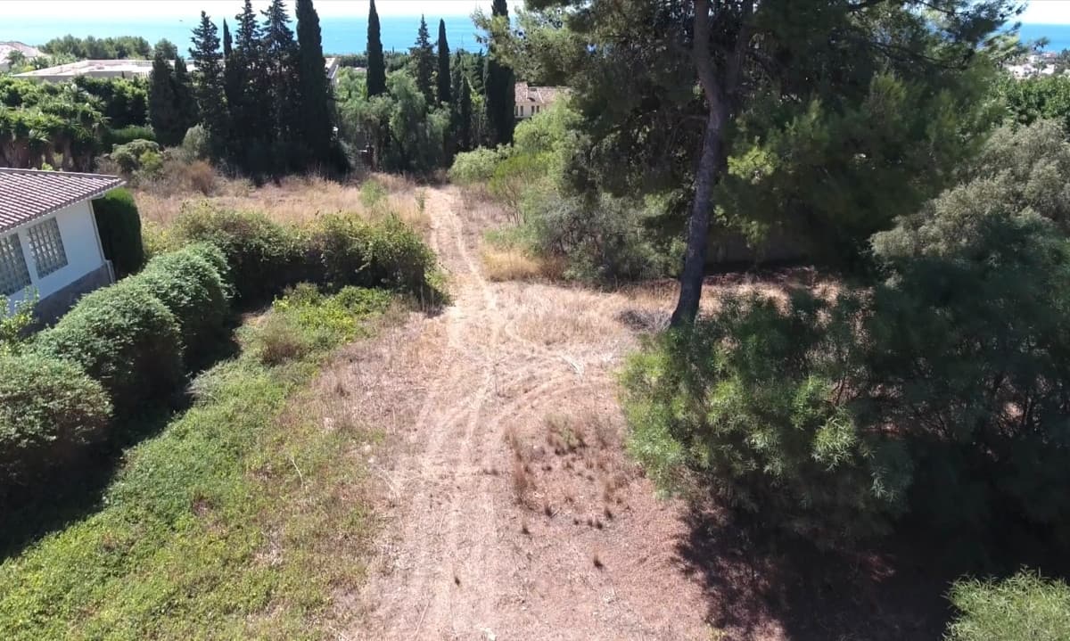 Land in The Golden Mile — photo 8 of 10