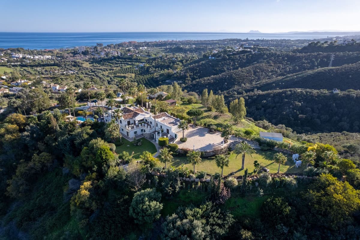 Detached Villa in Estepona — photo 3 of 10