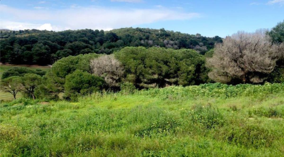 Residential Plot in Sotogrande — photo 3 of 10