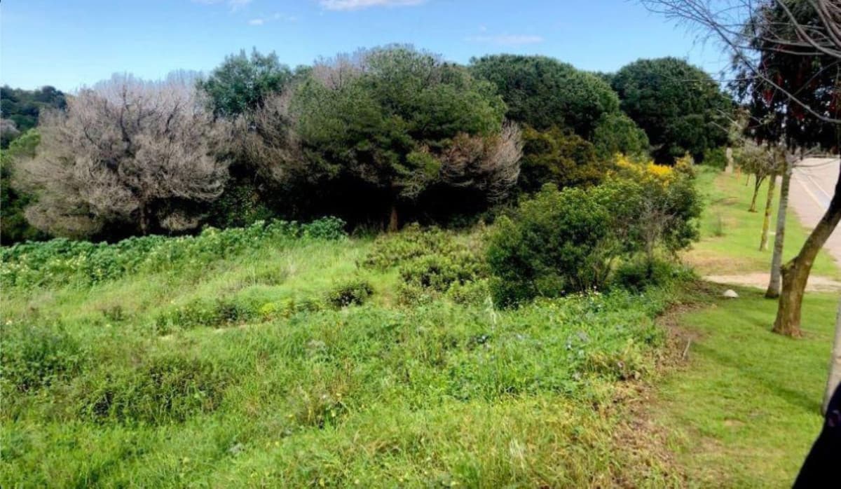 Residential Plot in Sotogrande — photo 4 of 10