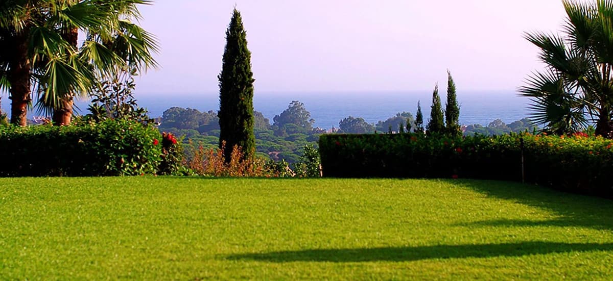 Detached Villa in Elviria — photo 4 of 10