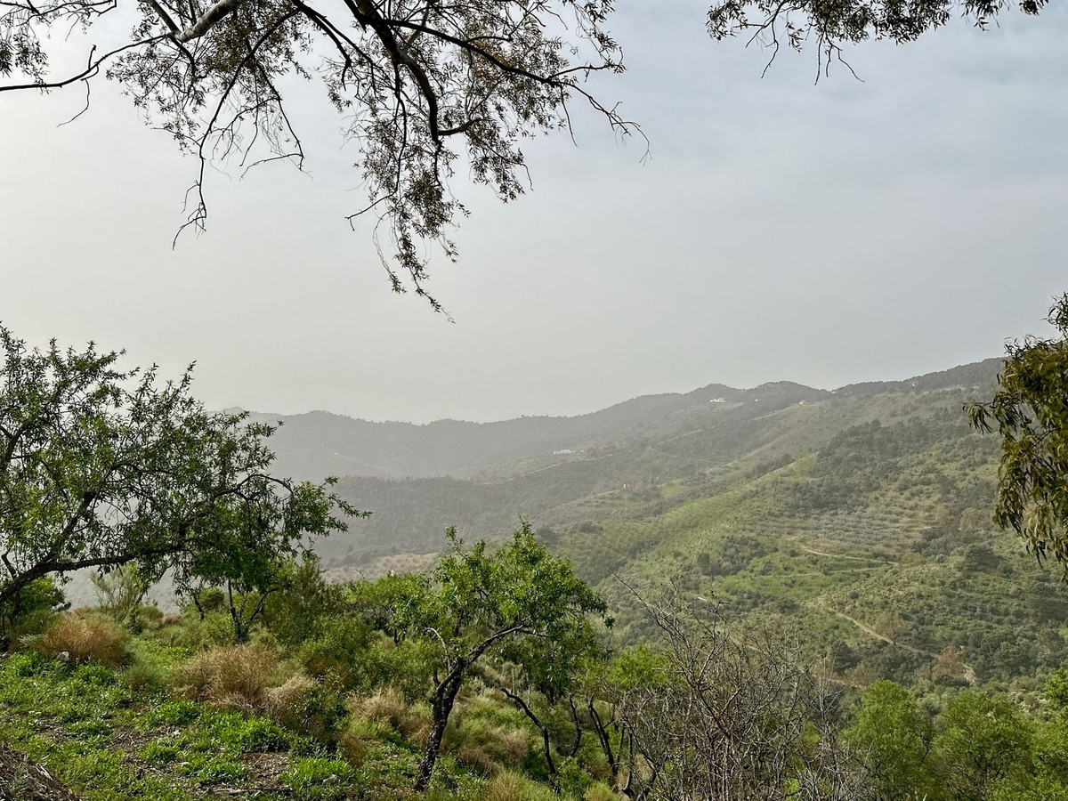 Cortijo in Pinares de San Antón — photo 2 of 10