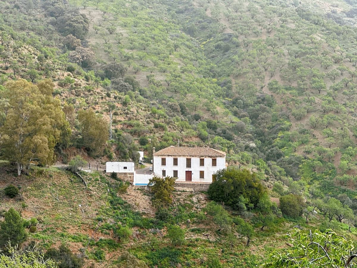 Cortijo in Pinares de San Antón — photo 3 of 10