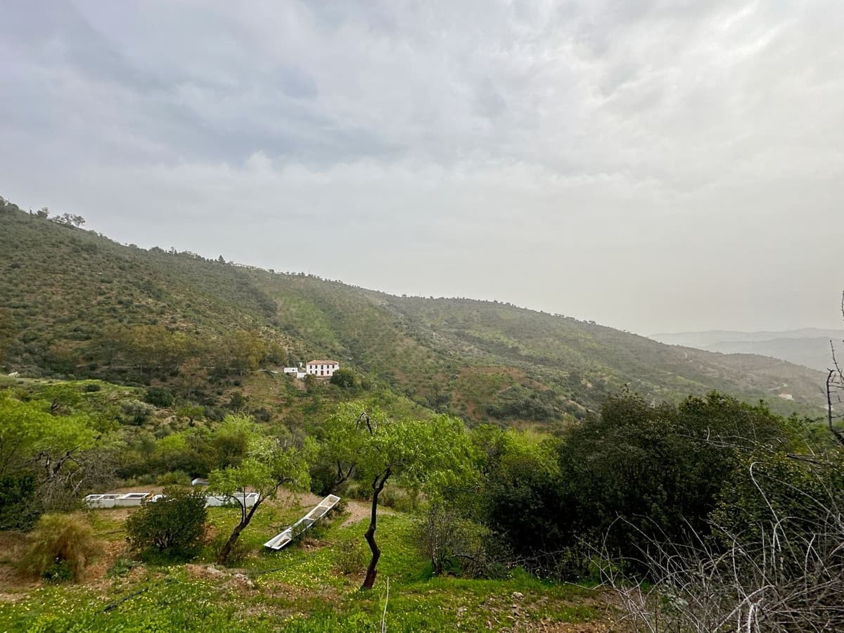 Cortijo in Pinares de San Antón — photo 5 of 10