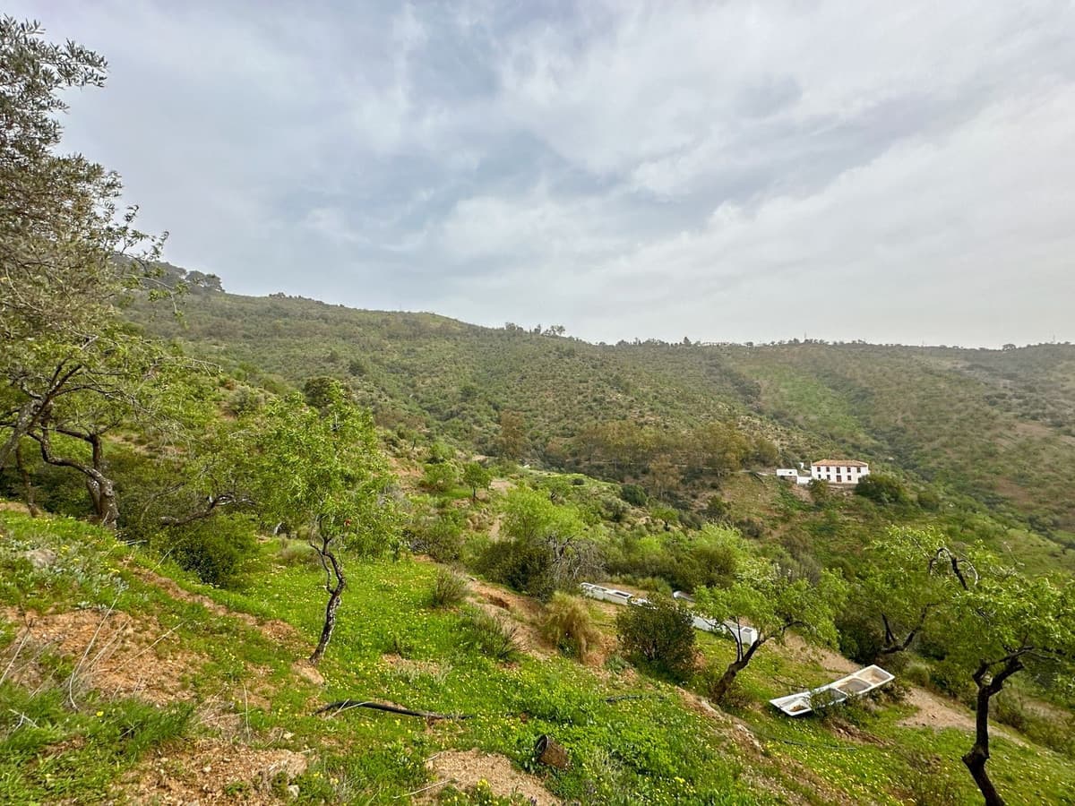 Cortijo in Pinares de San Antón — photo 6 of 10