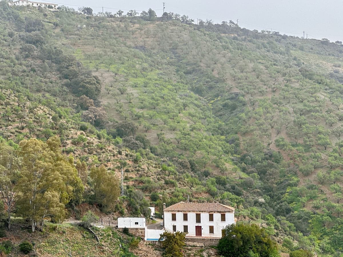 Cortijo in Pinares de San Antón — photo 7 of 10