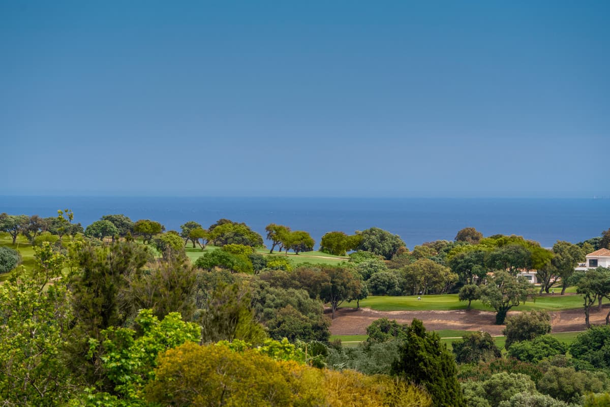 Detached Villa in Sotogrande Alto — photo 4 of 10
