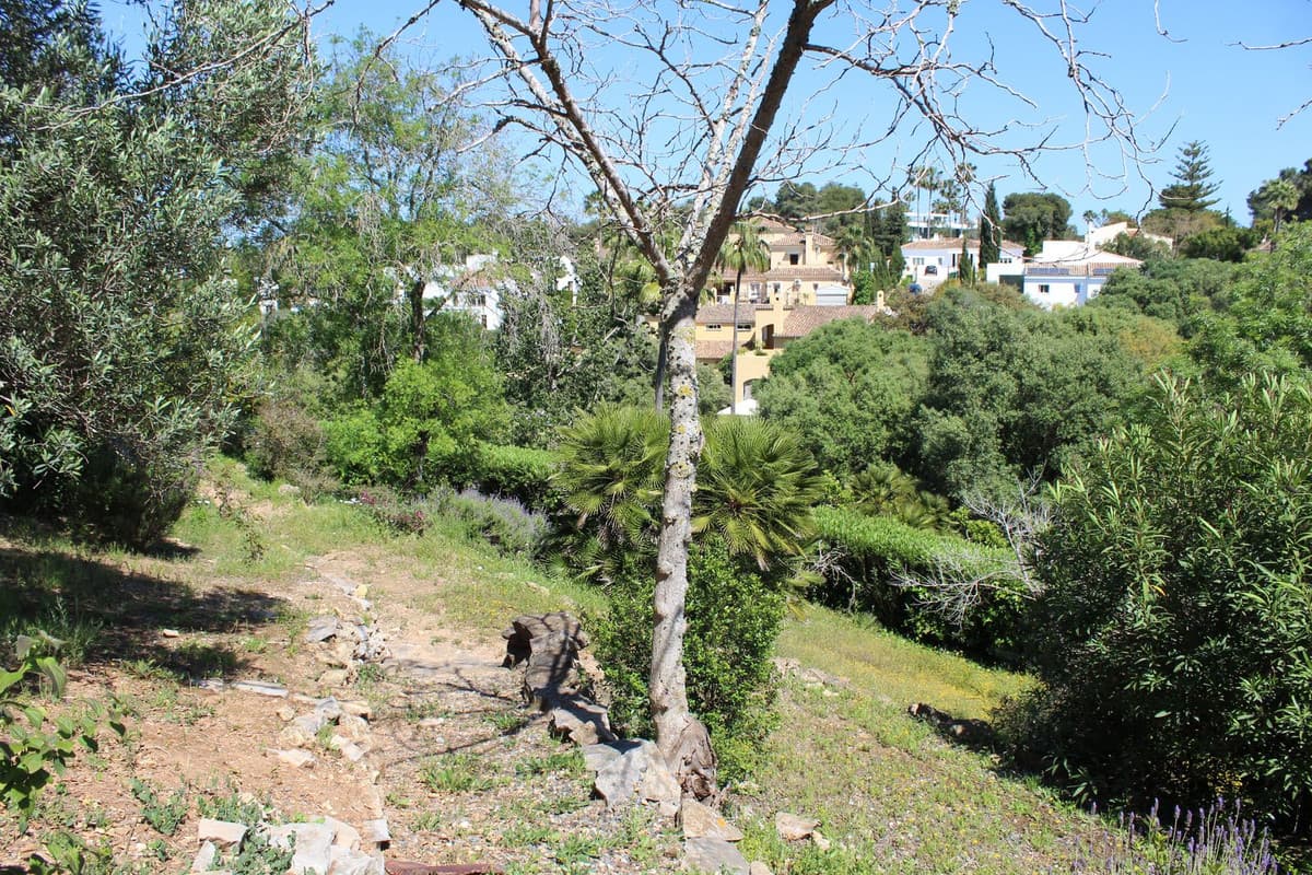 Detached Villa in Sotogrande Costa — photo 10 of 10