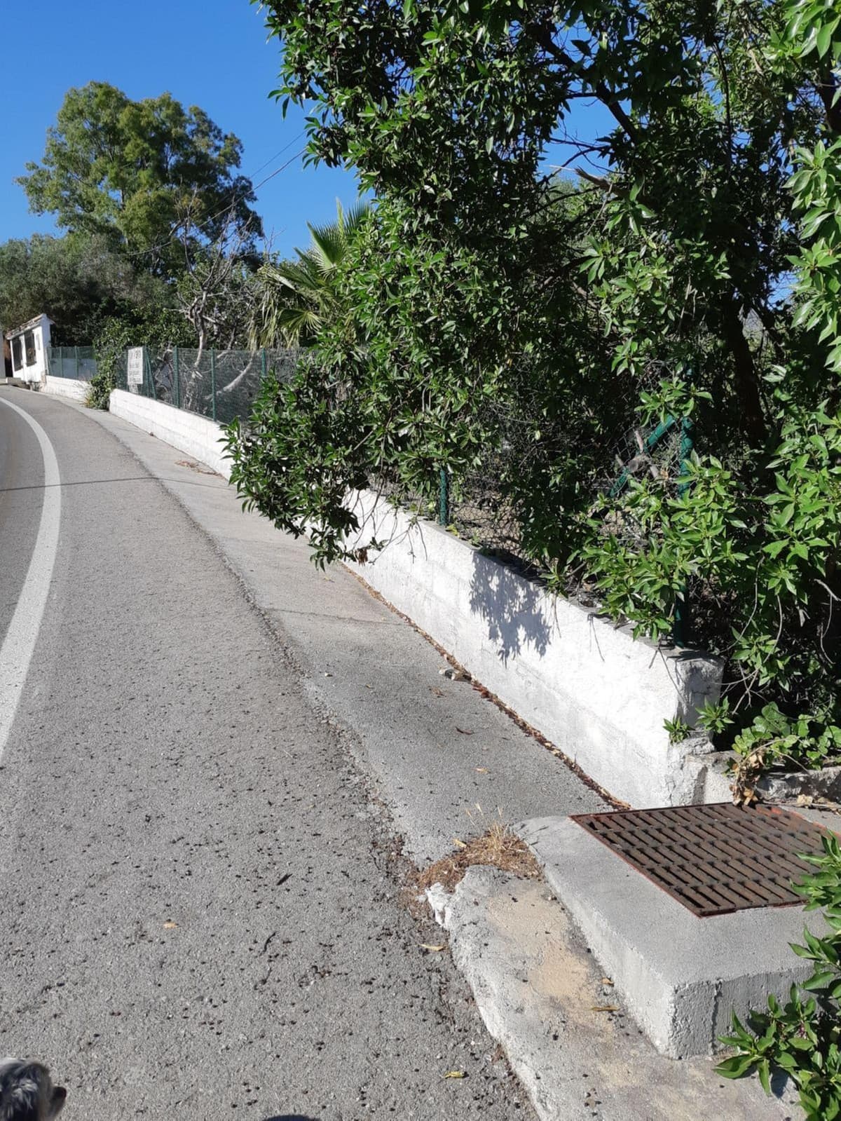 Residential Plot in Mijas — photo 4 of 7