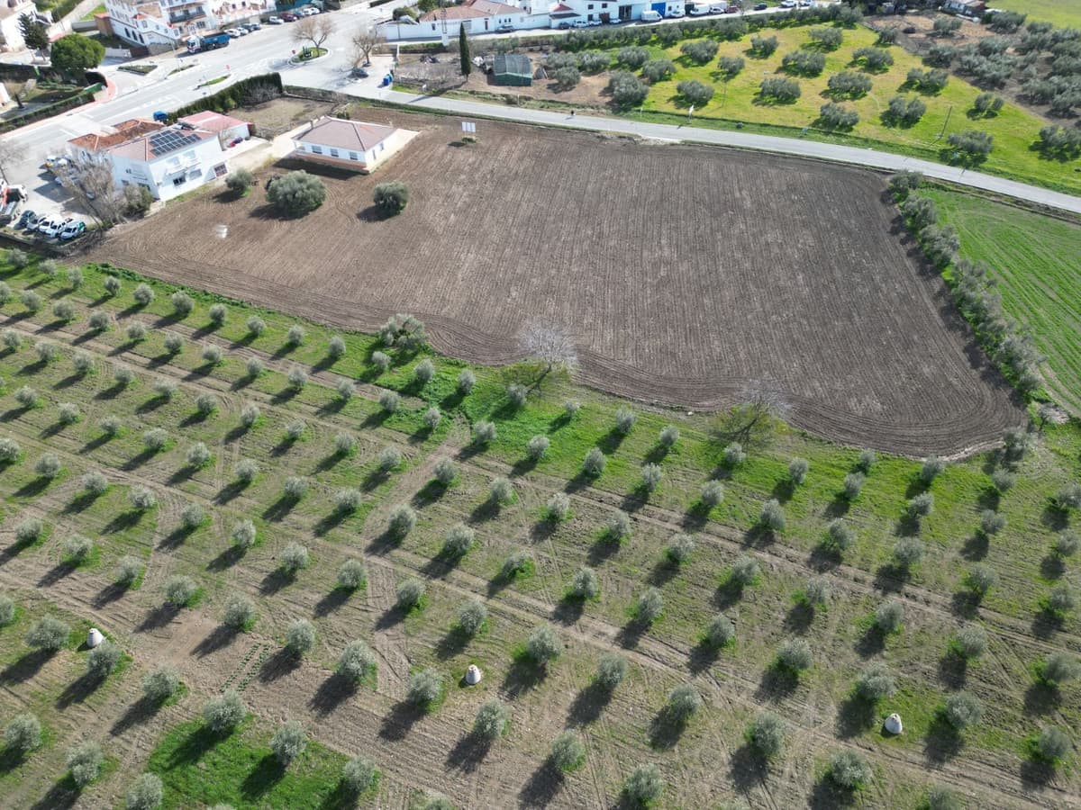 Residential Plot in Cuevas del Becerro — photo 1 of 10