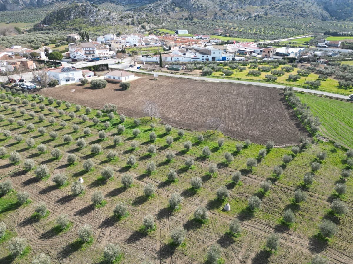 Residential Plot in Cuevas del Becerro — photo 2 of 10