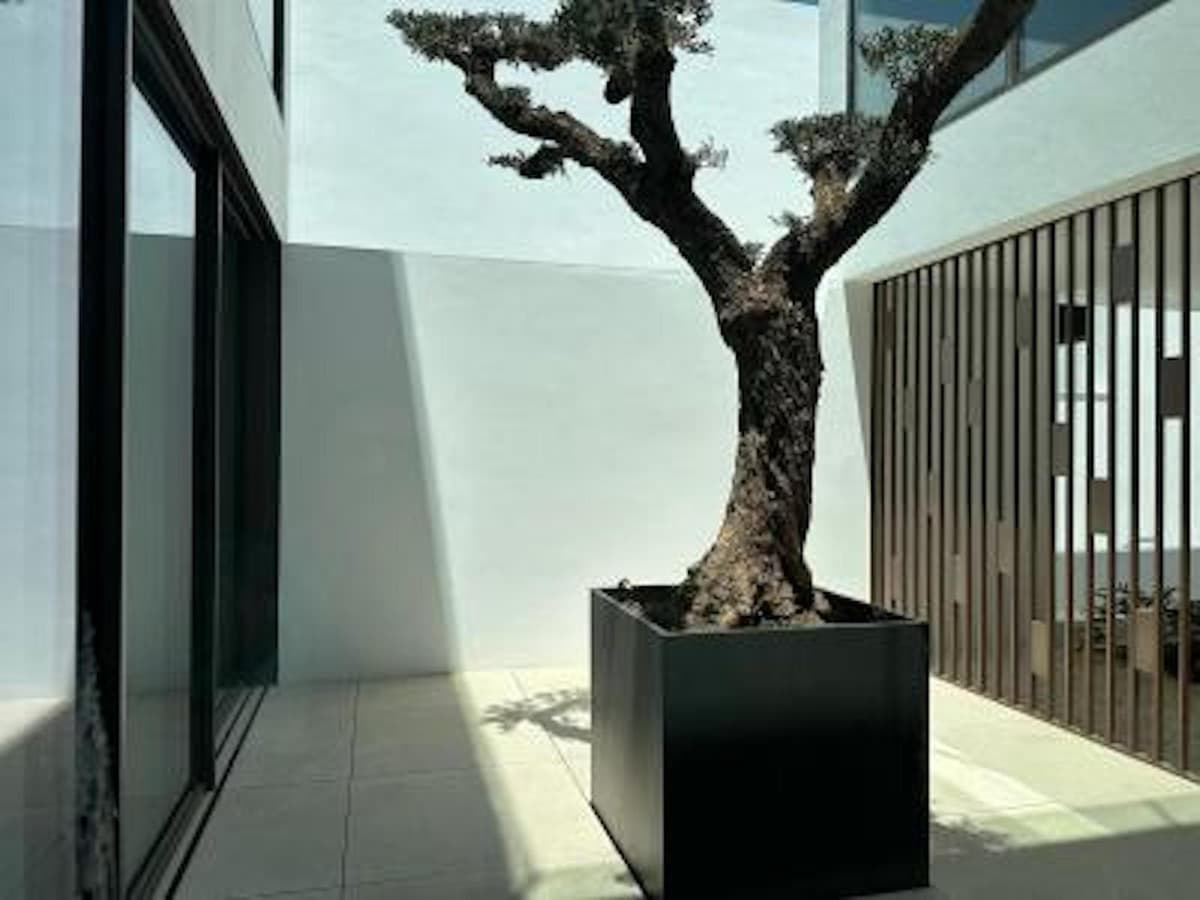 Townhouse in The Golden Mile — photo 8 of 10