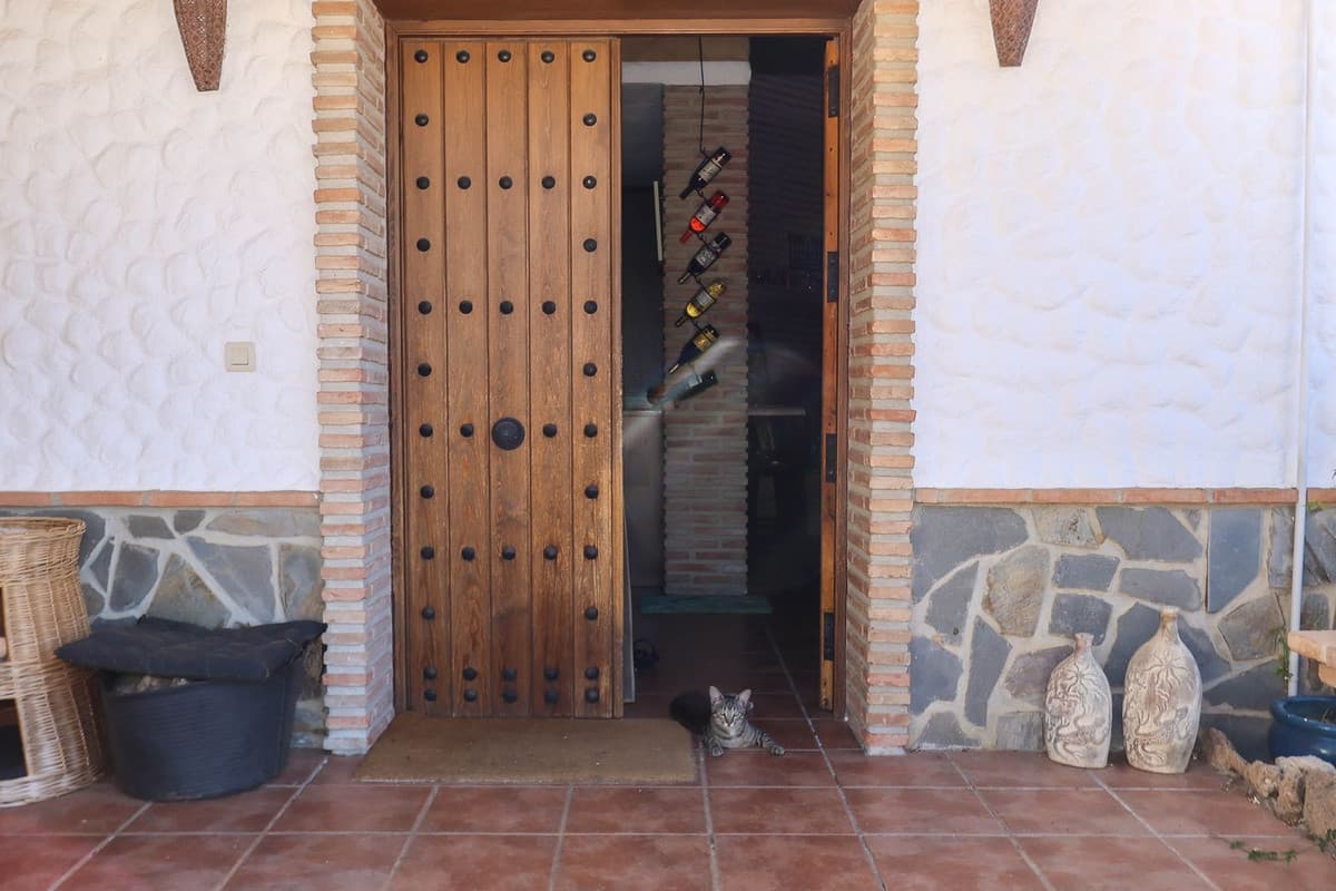 Detached Villa in Alozaina — photo 10 of 10