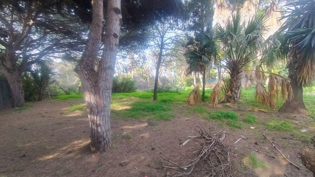 Residential Plot in Hacienda Las Chapas — photo 3 of 10