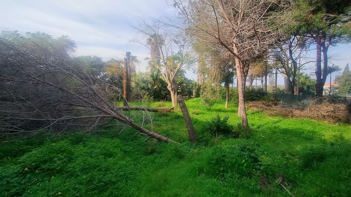Residential Plot in Hacienda Las Chapas — photo 5 of 10