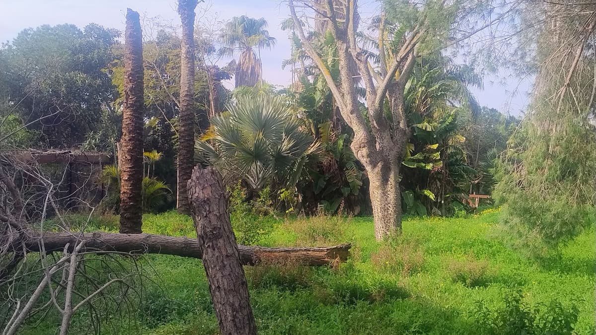 Residential Plot in Hacienda Las Chapas — photo 6 of 10