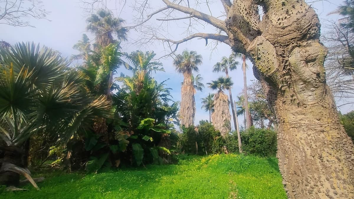 Residential Plot in Hacienda Las Chapas — photo 8 of 10