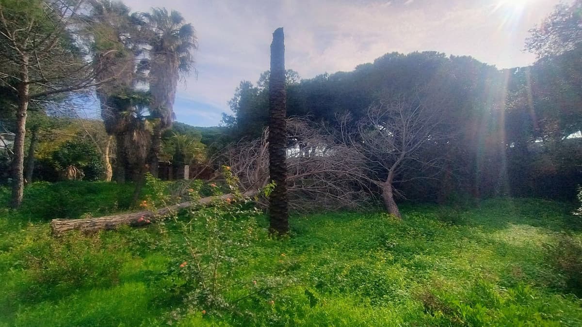 Residential Plot in Hacienda Las Chapas — photo 10 of 10