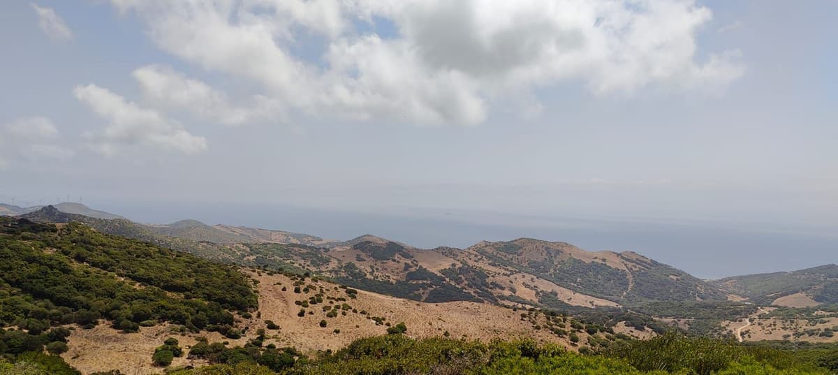 Residential Plot in Benahavís — photo 9 of 10