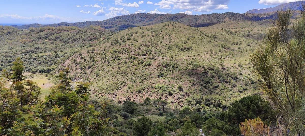 Residential Plot in Benahavís — photo 10 of 10