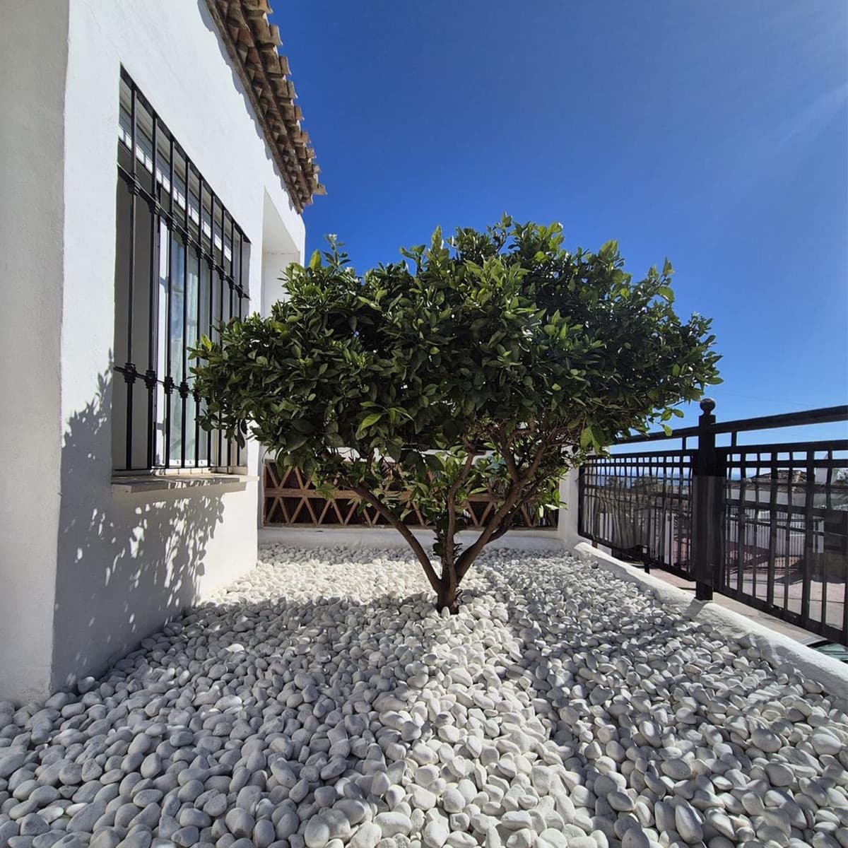 Ground Floor Apartment in Benalmadena — photo 3 of 10