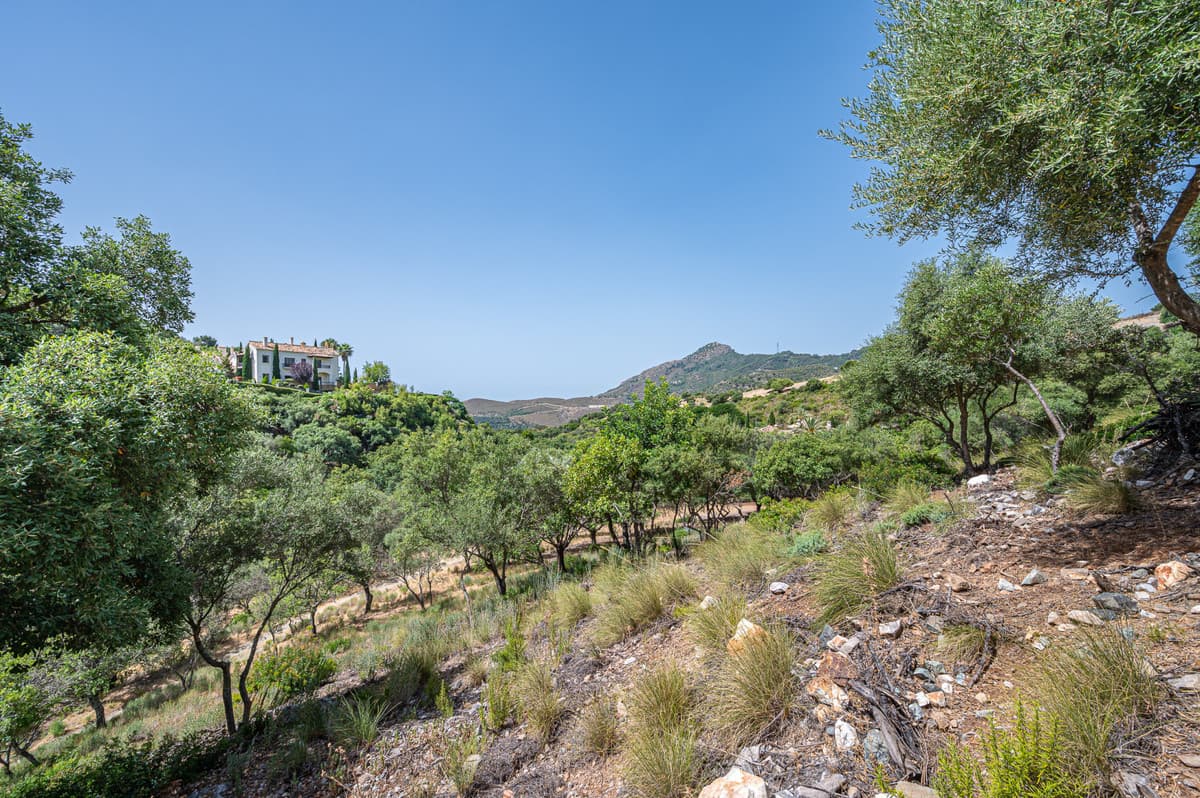 Land in La Zagaleta — photo 3 of 10