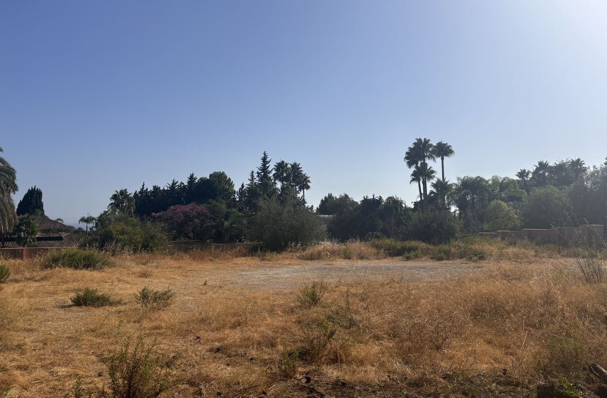 Residential Plot in The Golden Mile — photo 4 of 10