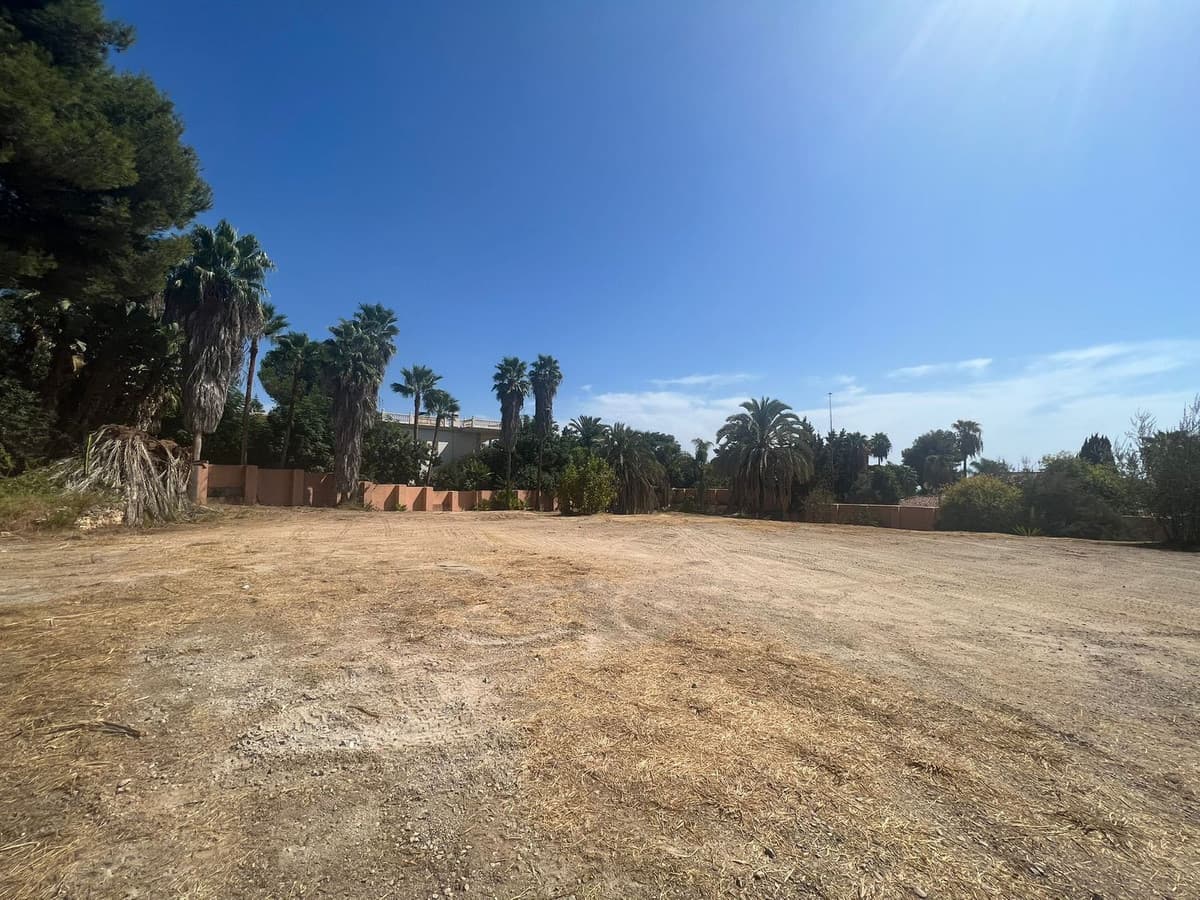 Residential Plot in The Golden Mile — photo 5 of 10