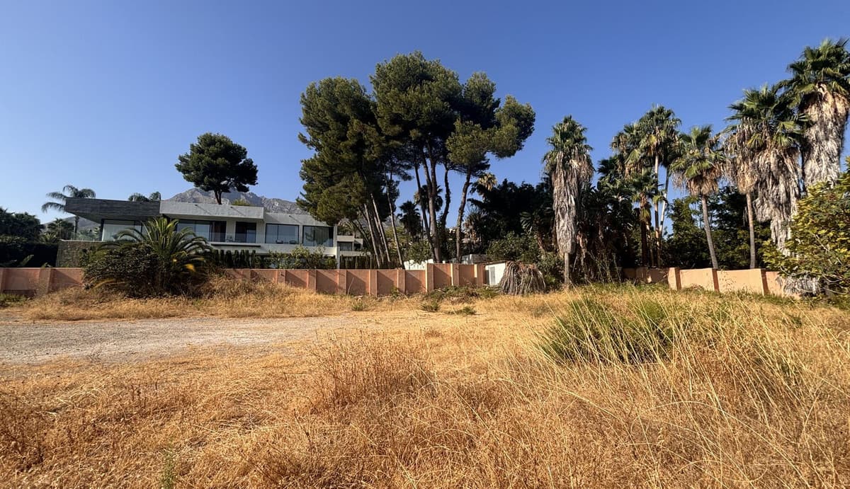 Residential Plot in The Golden Mile — photo 8 of 10