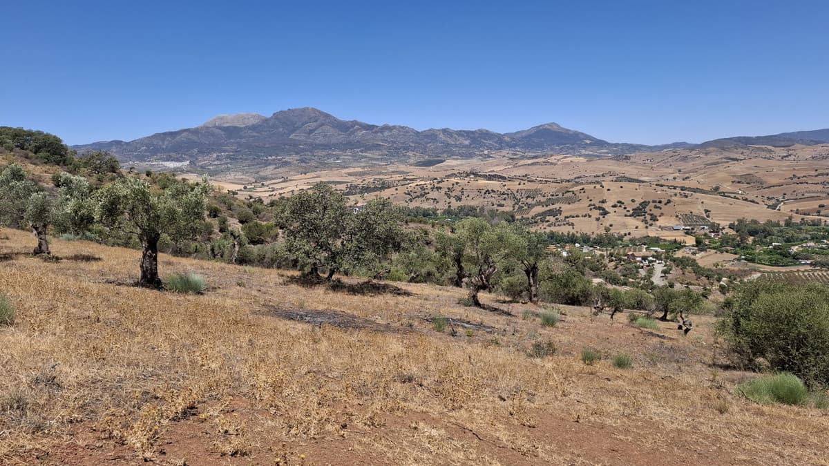 Land in Coín — photo 1 of 4