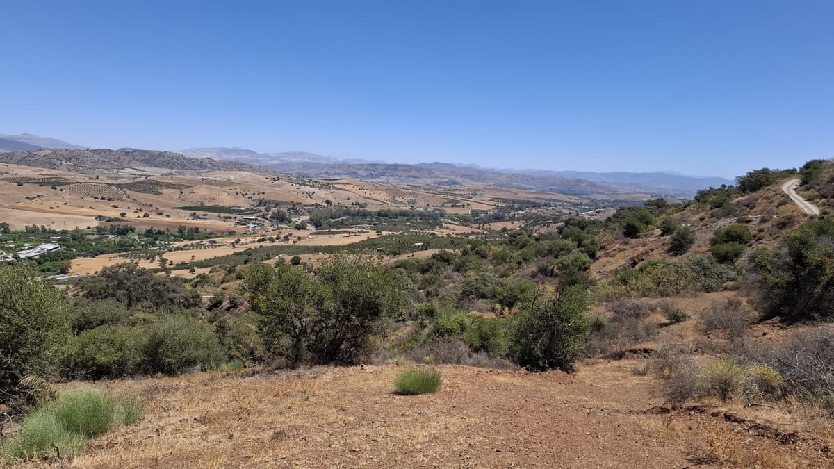 Land in Coín — photo 2 of 4