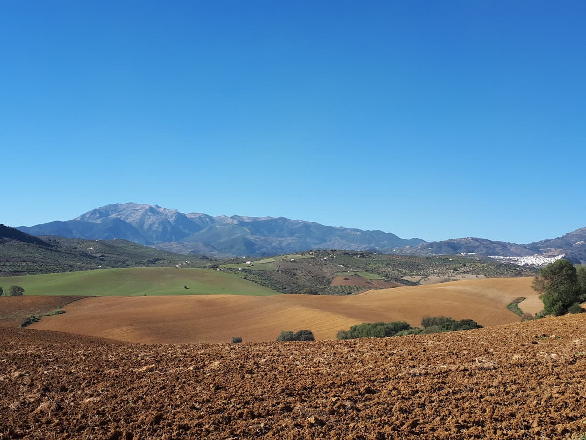 Land in Coín — photo 3 of 4