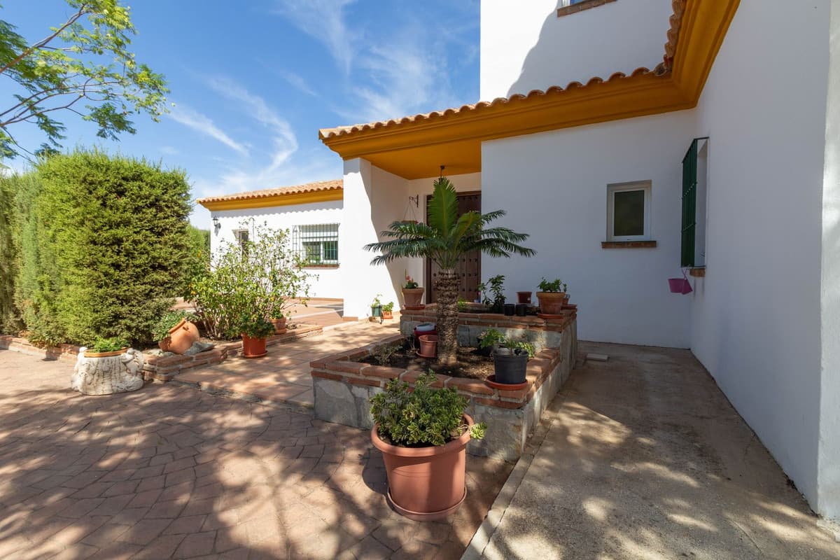 Cortijo in Entrerrios — photo 8 of 10