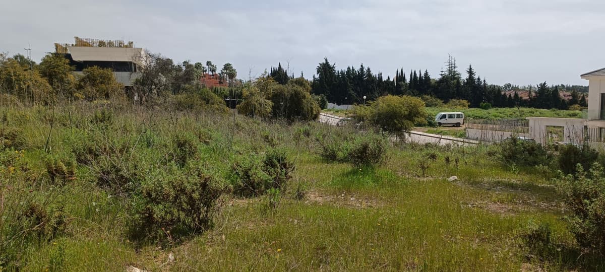 Residential Plot in The Golden Mile — photo 1 of 5