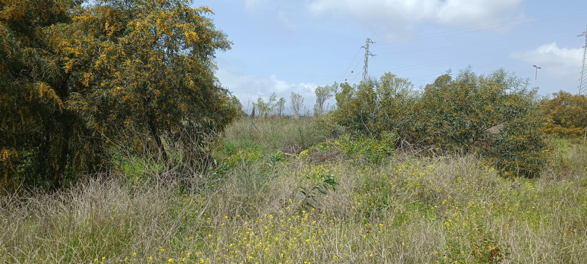 Residential Plot in The Golden Mile — photo 4 of 5