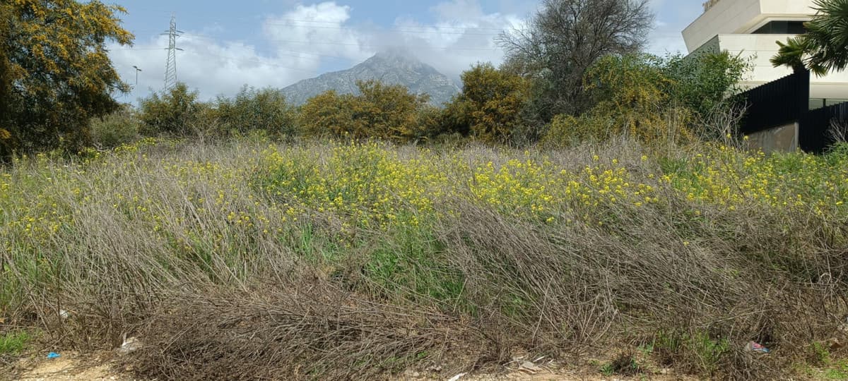 Residential Plot in The Golden Mile — photo 5 of 5